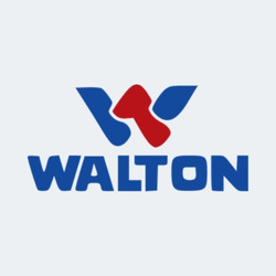 walton seo service